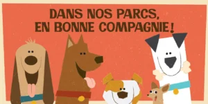 Bannière campagne parc à chien arrondissement St-Léonard