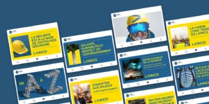 Réseaux sociaux Lainco